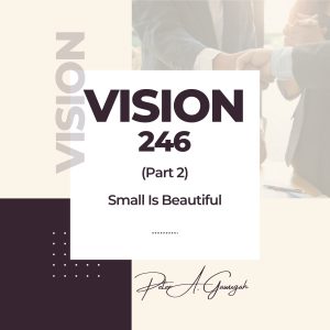 Vision 246 (Part 2) - Small Is Beautiful