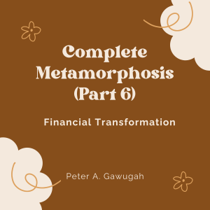 Complete Metamorphosis  (Part 6) - Financial Transformation